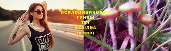 МДПВ Весьегонск